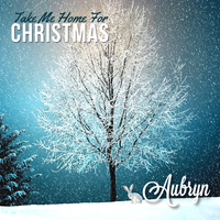 Imagine, If You Will... A Cave at Christmas by Aubryn