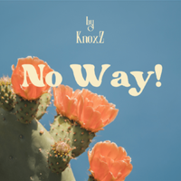 No Way! by KnoxZ