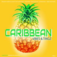 CRBVNT BPM 95 Loop 1 by Caribbean Vibes & Tingz V1 (Melody Loops)