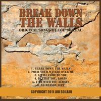 Break Down the Walls by Lou Soileau