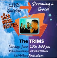 The Trims Live at SoFa Music Festival 