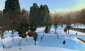 Bulgarian snow meadow-digitized photo

