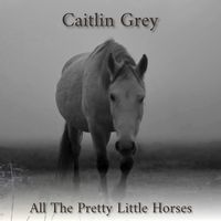 All The Pretty Little Horses by Caitlin Grey