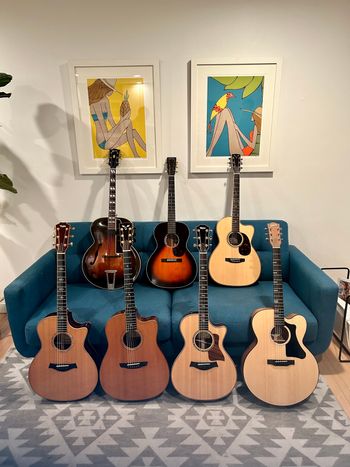The Guitar Gallery
