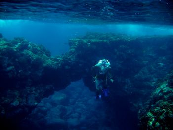 Big Island Diving
