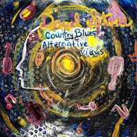 Country Blues Alternative Views by David Stone