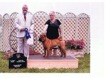 Caviar 1st place, Open Bitch, with PH Diane Bell, Canadian Nationals, June 2013
