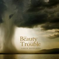 The Beauty & The Trouble by Gareth Davies-Jones