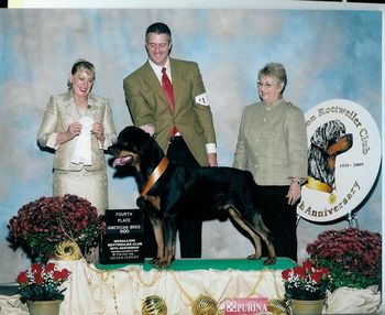 Phantom Wood Law & Order TD winning 4th place in AmBred Dog. Lawler is owned by Karla Niessing and handled by Drew Randall.
