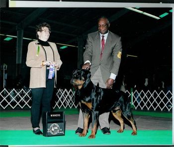 Nero taking Winners Dog with owner John Smith.
