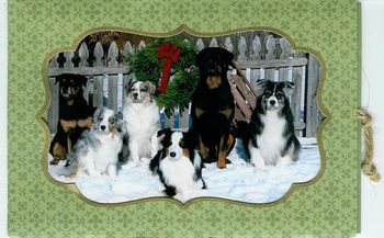 Delta and Mick and friends owned by Janet Benson.
