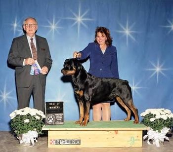 And in the breed ring, River taking Best of Winners with handler Holley Eldred.
