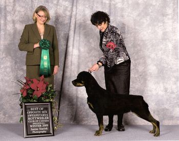 Best of Opposite Sex in Sweeps - Rottweiler Club of Canada Specialty - handled by owner Hedy Rankin.
