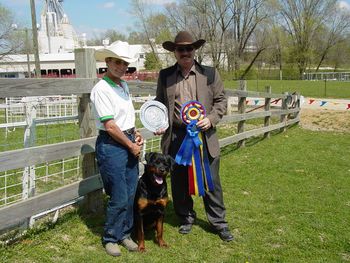 Halle and co-owner Francie winning High in Herding Trial from the Herding Started A Course/Sheep at the ARC National in 2006.
