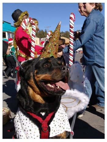 Jimi as a Unicorn in the 2008 Christmas parade.
