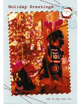 Merry Christmas from Wrigley and friends - owner Michelle Magana.

