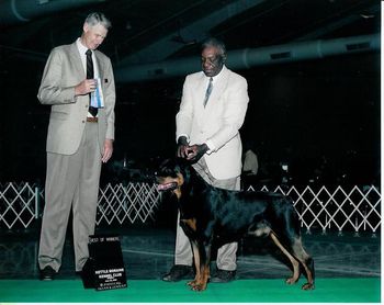 Phantom Wood Lock 'n Load (Deacon) taking Best of Winners at Kettle Moraine Kennel Club Show - June 2009. Deacon is owned by Fred Bryan and handled by John Smith.
