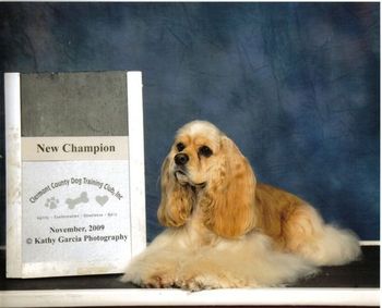 "Lily" owned by Kay rife. Shown Completing her UKC Ch. Title. She is litter mate to Am Ch. Kenwood's Gossip Girl. Lily is now competing in Agility. (CLICK ON PHOTO TO ENLARGE IMAGE)
