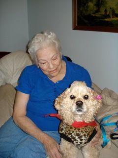 "Savannah" owned by Barb Garver. "Savannah" is a certified therapy dog and visits patients in nursing homes, all the time. Pictured here during one of her patient visits. "Savannah" is litter sister to Ch. Kenwood's Lightning Rod. (CLICK ON PHOTO TO ENLARGE IMAGE)
