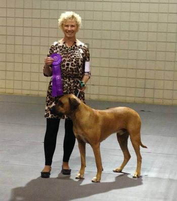 Begginers Novice Obedience title
