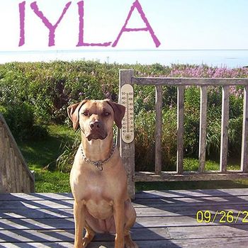 Iyla Relic x Solo Loved by Deane Veazie, ME
