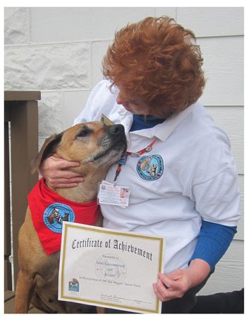 Foxey proud of earning another Therapy Dog title !!

