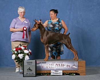 Multi BIMBS, Multi RBIMBS, UKC GrCH/Int'l CH Fayek's Fire Walk With Me (AKC Ptd) "Ruby" Sire: Multi CH Thriller De Black Shadow Dam:Kurbans Before He Cheats