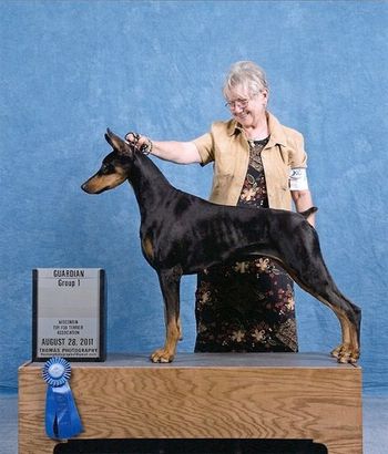 UKC CH Wingsong's Luck Be A Lady "Ladybug" Sire: Multi CH Thriller De Black Shadow Dam: Paradigm Betty Boop Windsong