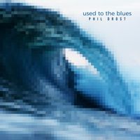 Used to the Blues by Phil Drost