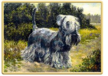 Original Painting of Int'l Ch. Chiap Lovu zdar by Mikhail (Misha) Lavrenko. About the Artist - Mikhail (Misha) Lavrenko Misha Lavrenko was born on the 27th November 1952 into a very artistic family. His Father is Boris Lavrenko a Professor of Painting (Ph.D. Art Science) who holds the title of "Popular" Artist of Russia." His Mother was a school teacher. His sister Galina is a Graphic Artist who illustrates Children's Books. Misha studied from the age of 12 in the special Russian Academy Art School. From there he entered the famous Ilja Repin Institute of Painting Section of Monumental Art. Upon graduation he served his Nation Service in the Army. From 1980 he worked in Decorative Monumental Art and designed eight large mosaic panels in various Russian Cities. Since 1990 he has worked full time as a painter taking part in Art Exhibitions. His work is featured in USA, Finland Sweden, Germany, Switzerland, France and Japan. In 1991 he was invited to paint work for the Museum of Alaskan History in the US. The subject being Russian America in Sitka. There are some 40 works displayed there. He has for some years been a member of the Committee of the St. Petersburg Artist's Society. He married Vera Zvereva who is a Manager of Courses of the North West Section of the Russian Dog Federation. She is owner of the "Bjorkezund" Kennel breeding Kerry Blue Terriers and Staffordshire Bull Terriers. Their son Ivan is a Karate Master who works with young Juvenile Delinquents in the Municiple Centre. Misha Lavrenko works in Landscape and Still Life Painting and has now added dog portraiture to his portfolio.