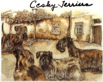 Orginial art by well known Czech artist and friend of the Cesky Terrier Oldrich Mikulas Dufek. He works with collages and uses Dutch coffee for color. Mr. Dufek is the proud owner of a Cesky Terrier, who drinks Czech beer and chases a tennis ball. Mr. Dufek lives in Prague and has a summer home in Klanovice. He is a long time friend of F. Horak the orginator of the Cesky.