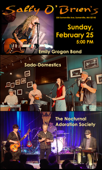  Sado-Domestics, The Nocturnal Adoration Society, and The Emily Grogan Band at Sally O'Brien's