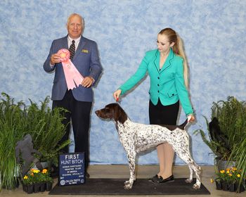 Syn wins Hunt Bitch at the Regional Specialty with her Junior

