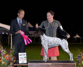 2023 NOHS Group One Palm Springs Kennel Club
