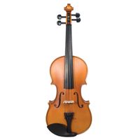 Juzek Violin Outfit with Case, Bow, and Rosin