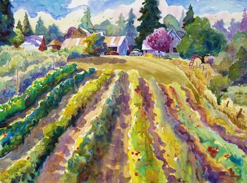 This is another painting of Koch Farm in Tualatin, OR done on another beautiful day. Only this time we are deeper into the fields. We were immersed in wonderful smells of the fields toward the end of summer. "Tomato Patch", 22"x30". Original sold. Prints.
