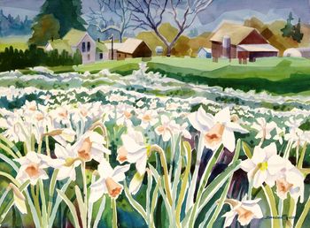 "Early Spring at Wooden Shoe Bulb Farm" in Woodburn, Oregon is a glorious affair with acres of colorful bulbs. After the daffodils the fields bloom with tulips of every color. 30"x22" Sold. Prints available.
