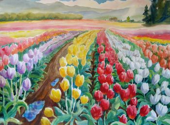 "Wooden Shoe Tulips", Woodburn, OR 22"x30  Painted on site."
