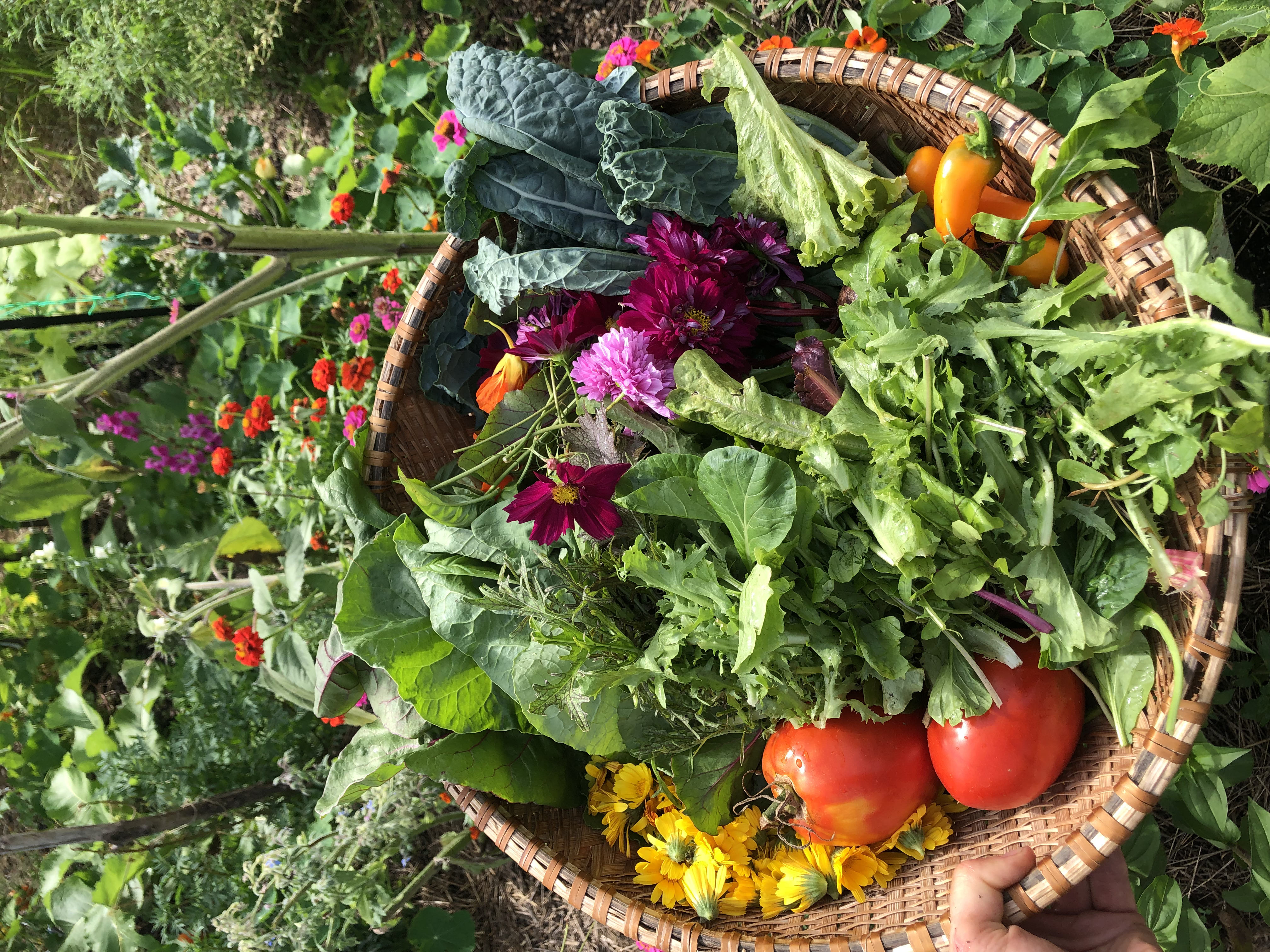 harvest basket filled with vegetables and flowers. 