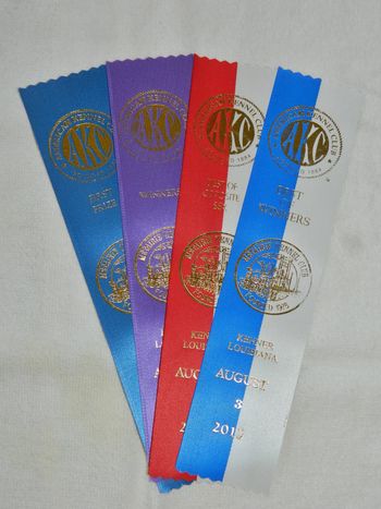 Win ribbons from 3 August 2013
