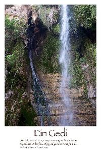 Ein Geddi Upper Falls