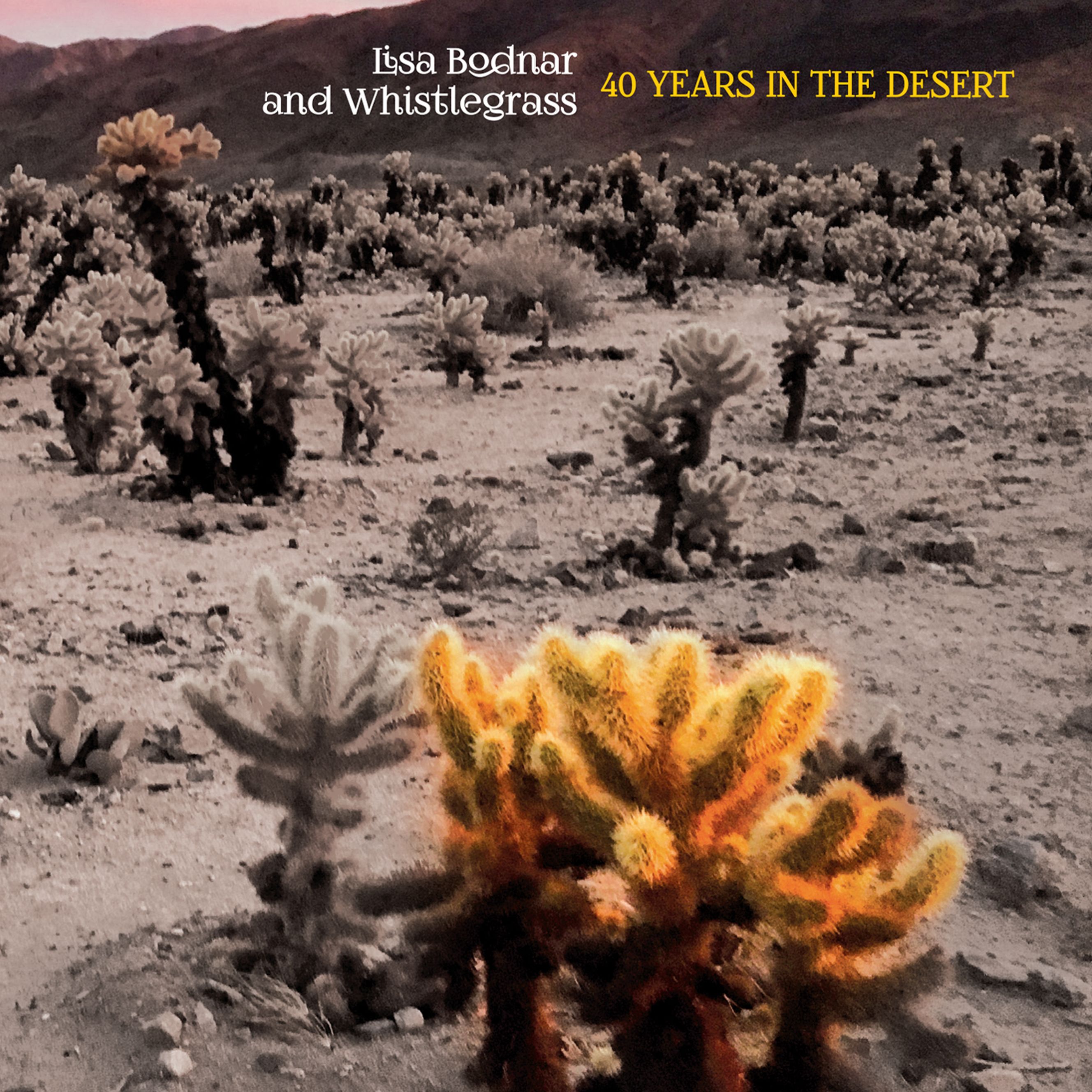 Lisa Bodnar 40 Years in the Desert