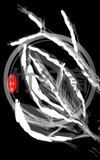 忍者アート「モノクロ葉っぱ」抽象芸術　デジタルアート Ninja Art - [Monochrome Leaf - Abstract Digital Art]