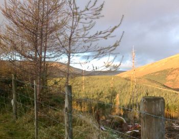 Scottish Borders landscape
