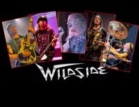 Wildside LIVE at The Boat!