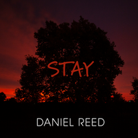 Stay by Daniel Reed