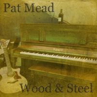 Wood & Steel by Pat Mead