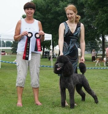 Total Dog Award! For winning in conformation and obedience at the same show! Our fave award! 2011
