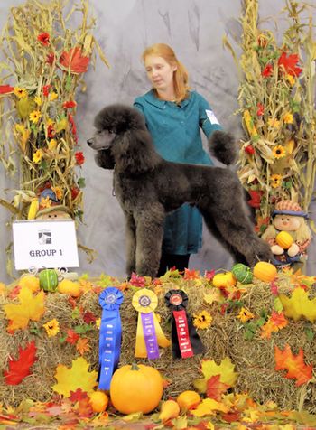 Finishing her Grand Champion title with a Group 1!
