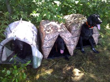 Waiting in the blind for the next bird
